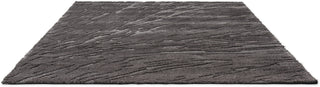 Brink and Campman Twinset Shore Graphite Area Rug Angle Image