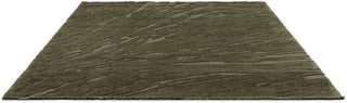 Brink and Campman Twinset Shore Olive Area Rug Angle Image