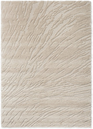 Brink and Campman Twinset Shore Oyster Area Rug main image