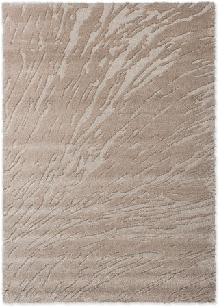 Brink and Campman Twinset Shore Taupe Area Rug main image