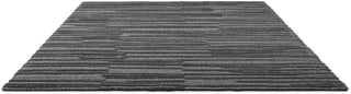 Brink and Campman Twinset Terrain Graphite Area Rug Angle Image
