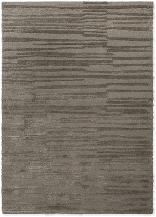 Brink and Campman Twinset Terrain Shiitake Area Rug main image