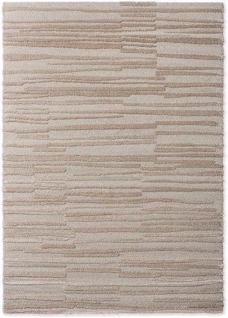 Brink and Campman Twinset Terrain Taupe Area Rug main image