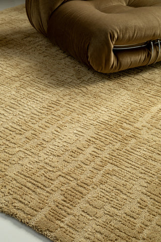 Brink and Campman Twinset Urban Antique Area Rug Room Image Feature