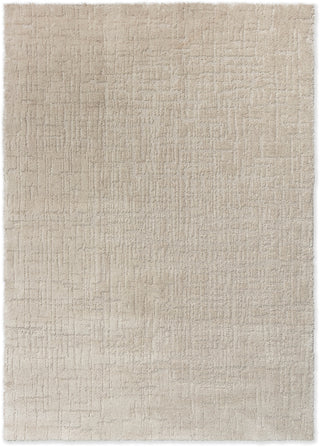 Brink and Campman Twinset Urban Oyster Area Rug main image