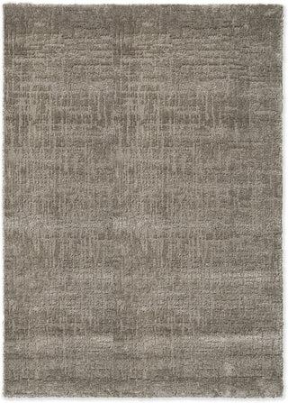 Brink and Campman Twinset Urban Shiitake Area Rug main image