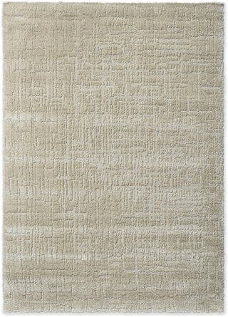Brink and Campman Twinset Urban Silver Area Rug main image