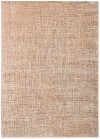 Brink and Campman Twinset Urban Tan Area Rug main image
