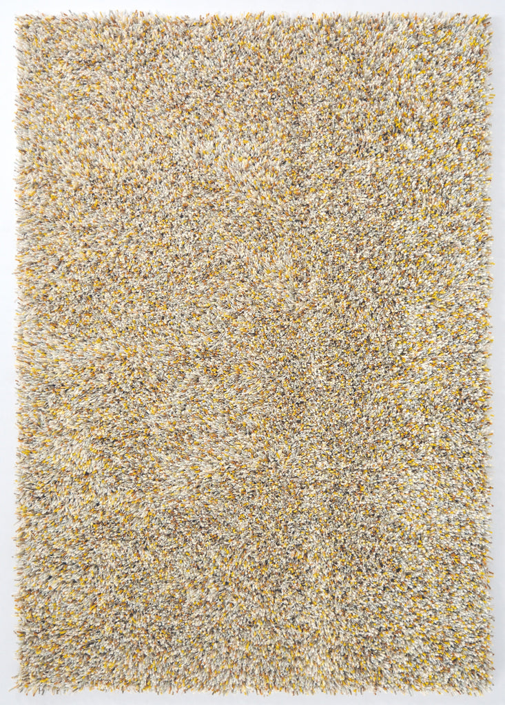 Brink and Campman Young Chutney Area Rug main image
