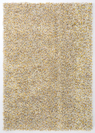 Brink and Campman Young Chutney Area Rug main image