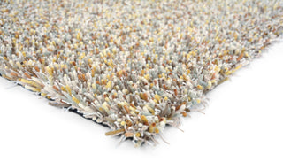 Brink and Campman Young Chutney Area Rug Corner Image