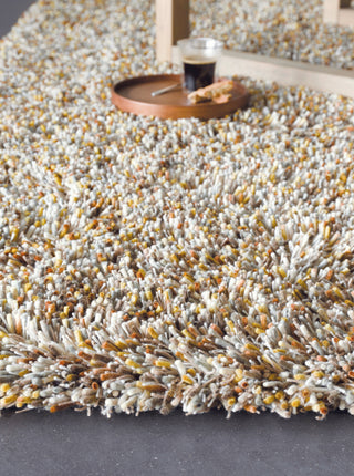 Brink and Campman Young Chutney Area Rug Room Image Feature