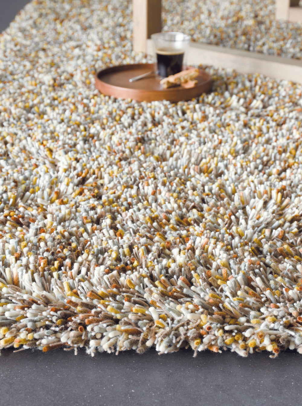 Brink and Campman Young Chutney Area Rug Room Image Feature