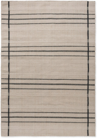 Brink and Campman Zona Line Charcoal Area Rug main image