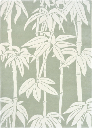 Brink and Campman Japanese Bamboo Jade Area Rug by Florence Broadhurst main image