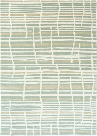 Brink and Campman Tortoiseshell Stripe Jade Area Rug by Florence Broadhurst main image