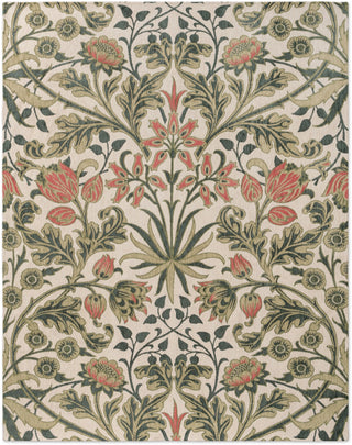 Brink and Campman Hyacinth Natural Area Rug by Morris Co main image