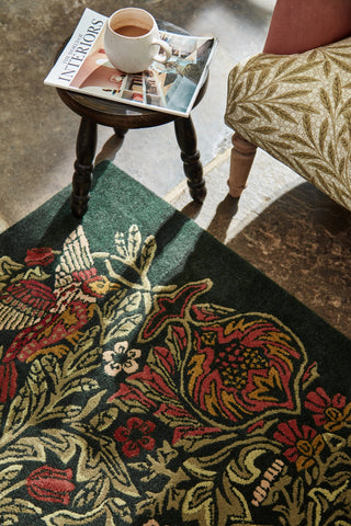 Brink and Campman Bird Tump Green Area Rug by Morris Co x Emery Walker's House Room Image Feature