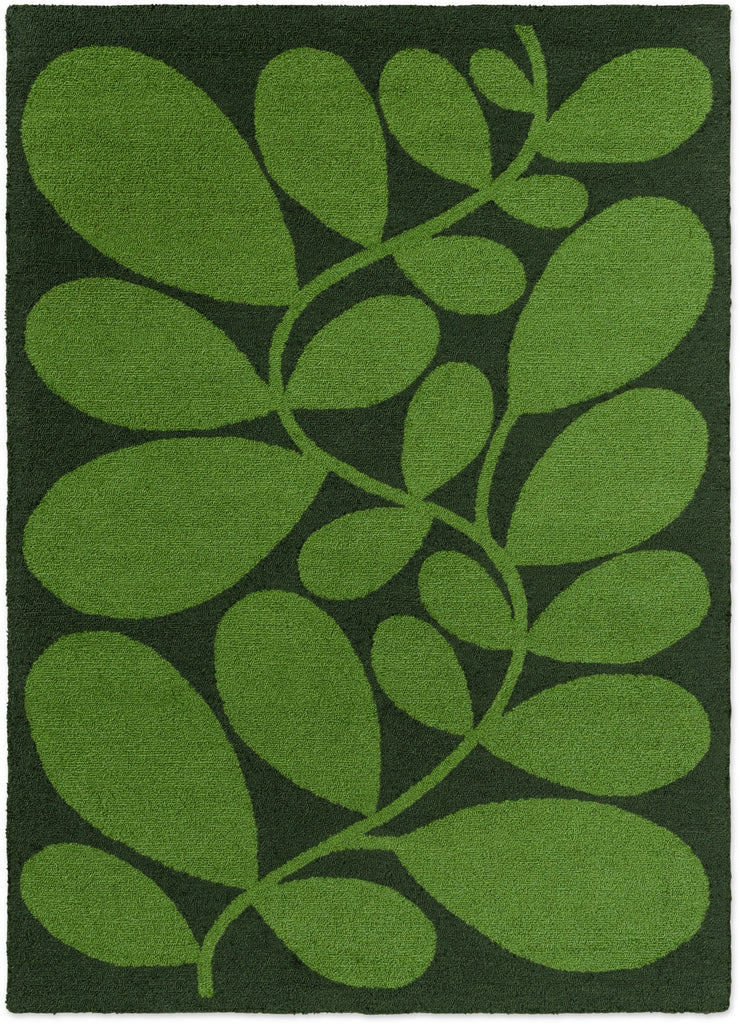Brink and Campman Sycamore Dill Area Rug by Orla Kiely main image