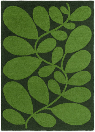 Brink and Campman Sycamore Dill Area Rug by Orla Kiely main image