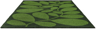 Brink and Campman Sycamore Dill Area Rug by Orla Kiely Angle Image