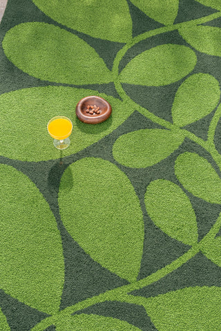 Brink and Campman Sycamore Dill Area Rug by Orla Kiely Room Image Feature