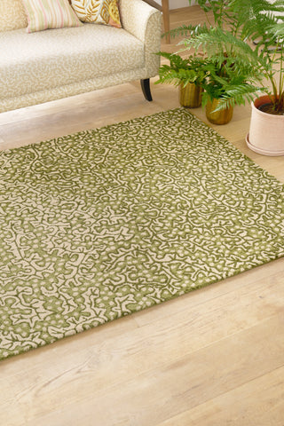 Brink and Campman Truffle Olive Area Rug by Sanderson Room Image Feature