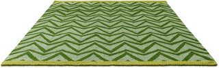 Brink and Campman Dhurrie Green Area Rug by Scion Angle Image