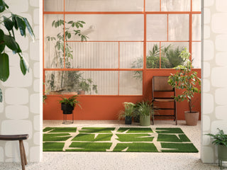 Brink and Campman Moqui Green Area Rug by Scion Room Image Feature