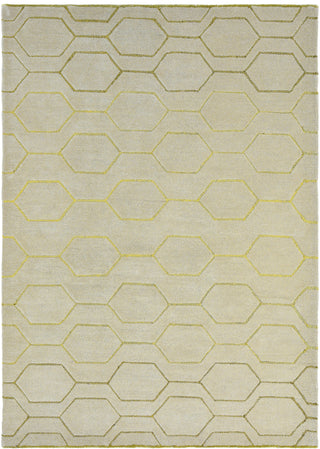 Brink and Campman Arris Grey Area Rug by Wedgwood main image