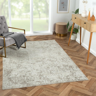 LR Home Brisbane 82285 Gray Area Rug 