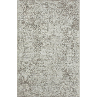 LR Home Brisbane 82285 Gray Area Rug Main Image