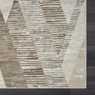 LR Home Brisbane 82287 Gray Area Rug Corner Image