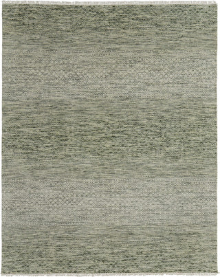 Feizy Branson 69BQF Green/Ivory Area Rug