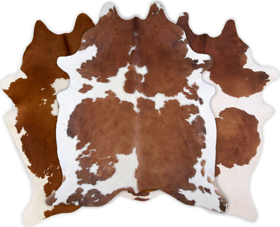 Dekoland Natural Colors Brown and White Area Rug – Incredible Rugs and ...