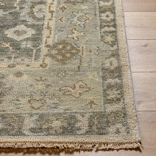 Surya Biscayne BSY-2316 Area Rug Angle