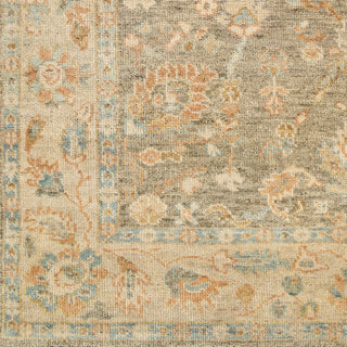 Surya Biscayne BSY-2318 Area Rug Swatch