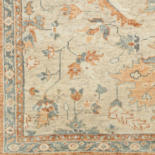 Surya Biscayne BSY-2320 Area Rug Swatch