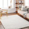 Livabliss Bogota shag BTG-2301 Area Rug Room Scene