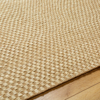 Surya Bolton BTO-2301 Area Rug Detail