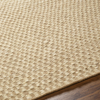 Surya Bolton BTO-2301 Area Rug