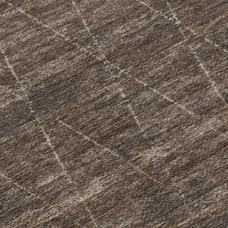 Dalyn Burano BU3 Coffee Machine Washable Area Rug Swatch Image