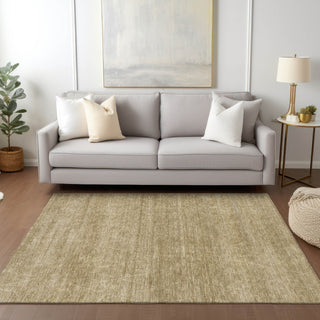 Dalyn Burano BU3 Wheat Machine Washable Area Rug Lifestyle Image Feature