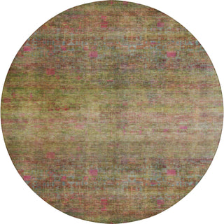 Dalyn Burano BU9 Cactus Machine Washable Area Rug Round Main Image