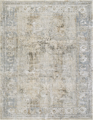 Livabliss Brunswick BWK-2340 Area Rug