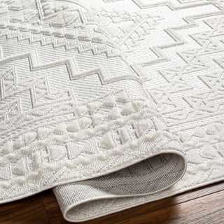 Surya Broadway BWY-2300 Area Rug Pile