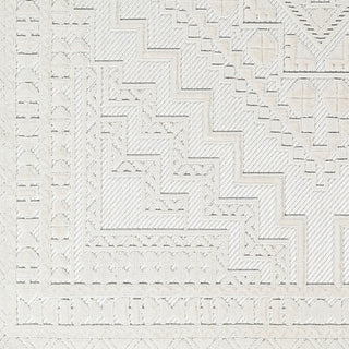 Surya Broadway BWY-2300 Area Rug Swatch