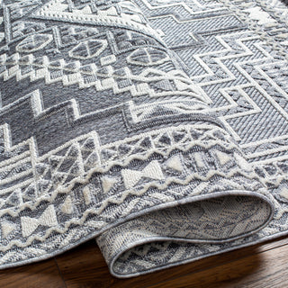 Surya Broadway BWY-2301 Area Rug Pile
