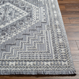 Surya Broadway BWY-2301 Area Rug Angle