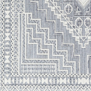 Surya Broadway BWY-2301 Area Rug Swatch